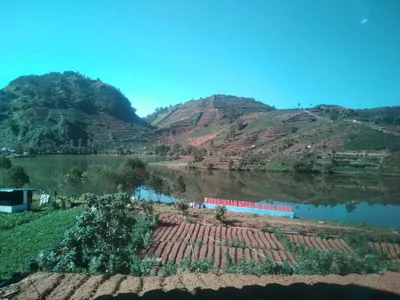 Sembungan - Photo 3