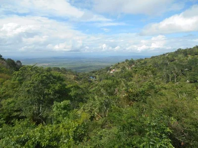 Pitimbu - Photo 3
