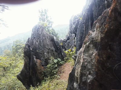 Pesangkalan - Photo 2