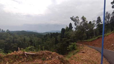 Pesangkalan - Photo 4