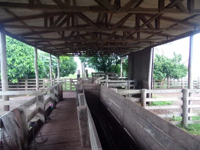 BR-230 - Photo 2