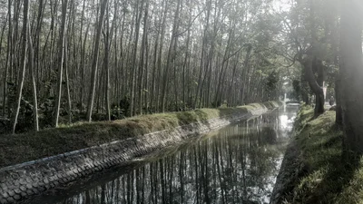 Nganjuk - Photo 3