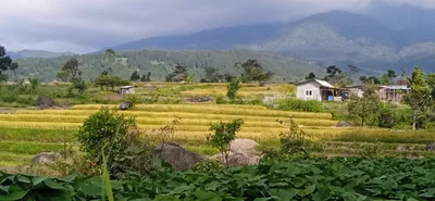 Pacet - Photo 2