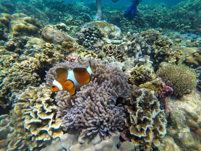 Gili Ketapang - Photo 5