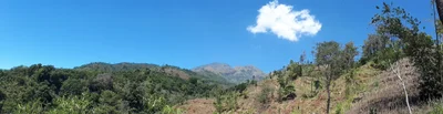 Ngetos - Photo 5