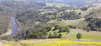 Coloma - Photo 5