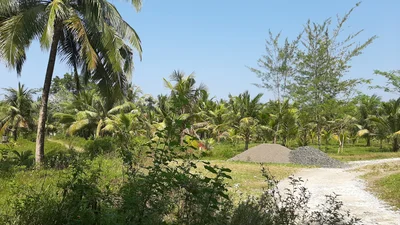 Desa Batukaras - Photo 4