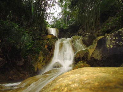 Jatimulyo - Photo 2