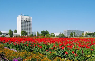 Samarqand City - Photo 2