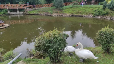 Yaremche - Photo 3