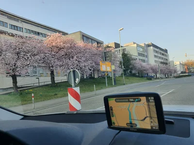 Pforzheim - Photo 3