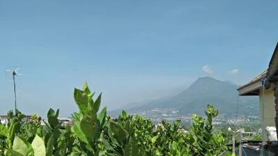 Sidomulyo - Photo 3
