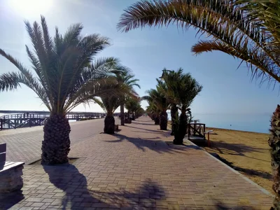 San Pedro del Pinatar - Photo 4
