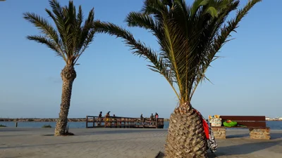 San Pedro del Pinatar - Photo 5