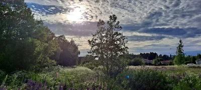 Vantaa - Photo 5