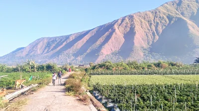 Sembalun Lawang - Photo 5
