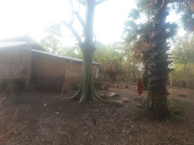 Lewoleba Tengah - Photo 4