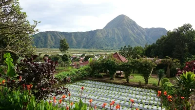 Sembalun Bumbung - Photo 4