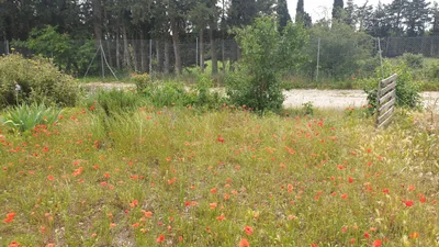 Monteux - Photo 3