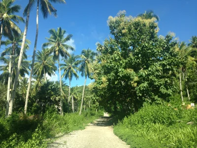 Tutuala - Photo 2