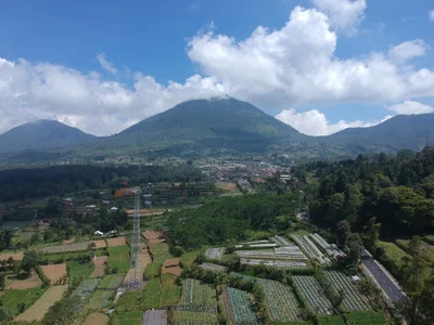 Petang - Photo 2