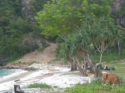 Sumbawa Barat - Photo 3