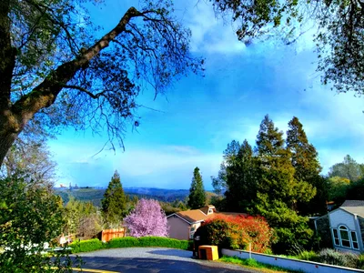 Foresthill - Photo 2