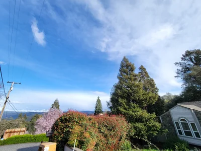Foresthill - Photo 4