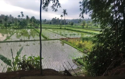 Suranadi - Photo 2