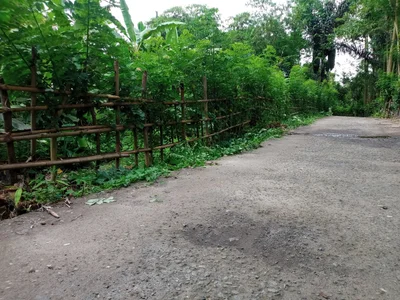 Suranadi - Photo 3