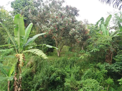 Suranadi - Photo 5