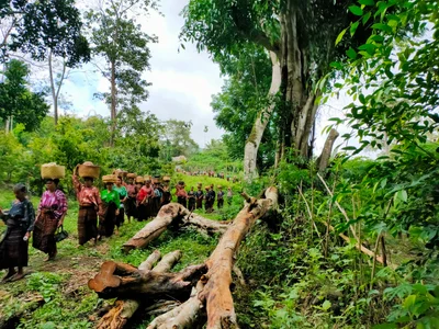 Woloara - Photo 2