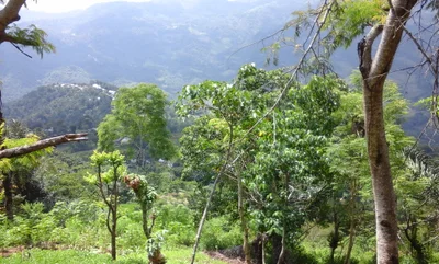 Watu - Photo 4