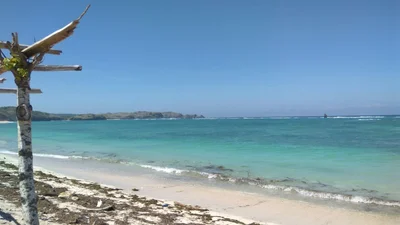 Lombok Tengah - Photo 5