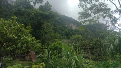 Rupa-Rupa - Photo 5