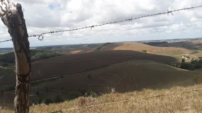 Murici - Photo 5