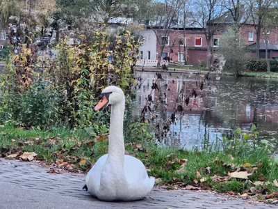 Glückstadt - Photo 2