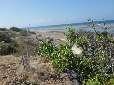 Desa Hambapraing - Photo 4