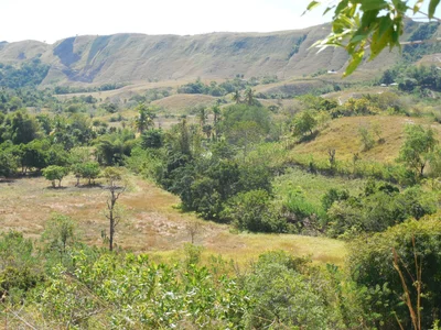 Kecamatan Kanatang - Photo 5