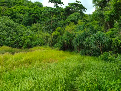 Pantai Lai Liang - Photo 2