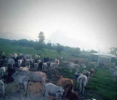 Churubamba - Photo 5