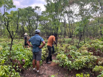 Kawambwa District - Photo 2