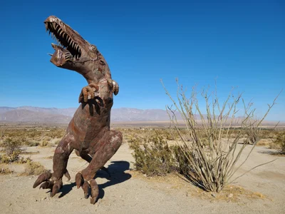 Borrego Springs - Photo 3