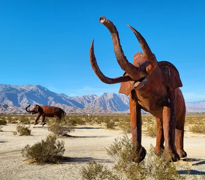 Borrego Springs - Photo 4