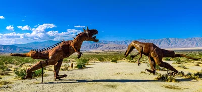 Borrego Springs - Photo 5