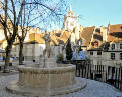 Dole - Photo 3