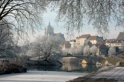 Dole - Photo 5