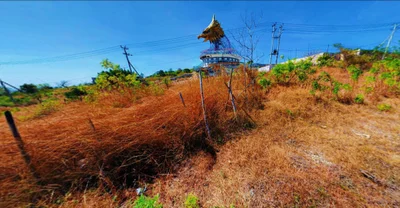 Nitneo - Photo 3