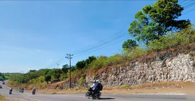 Nitneo - Photo 4