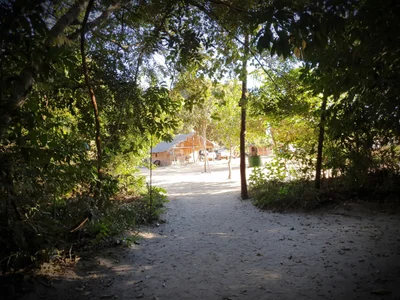 Mateiros - Photo 5